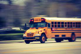Social media is like riding the school&nbsp;bus
